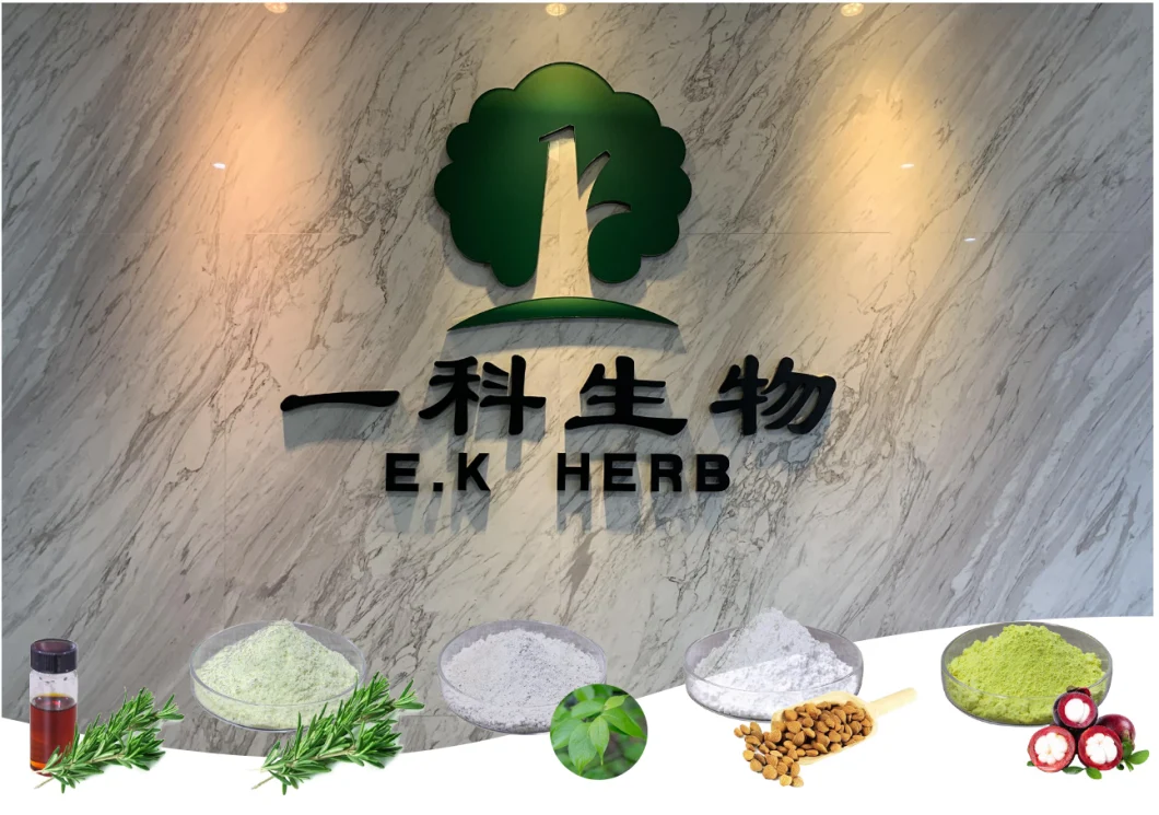 E. K Herb Factory 12 Years Supply Enhance Men′ S Sexual Function Plant Extract Cynomorium Songaricum Extract 10: 1 10% Alkaloids Cynomorium Extract